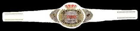 Hey y'all!  It's me, the infamous Knockouts Title!  My birthday is October 14th, 2007.  My current gal-pal is @dawgkilla.