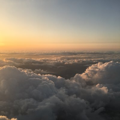 zako_cloud's profile picture. 2022年10月14日X再開🫡外資ITエンジニア歴10年。無言フォローすみません🙏無言フォロー大歓迎です🙌FF外からのコメントすみません🙏インフラ歴NW/vSphere/サーバー/ストレージは長め。