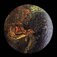 darkforest (@darkforesttri) 's Twitter Profile