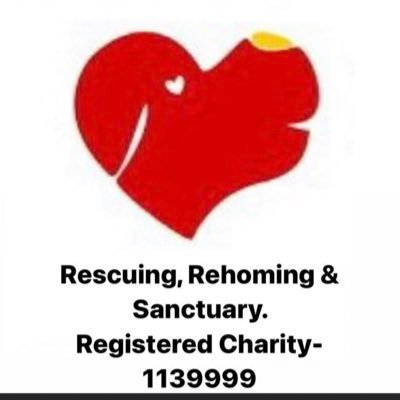 Rushton Dog rescue @ freedom farm. giving Sanctuary to the survivors of the Chinese meat trade & dogs from all over the 🌎-🇬🇧Reg -1139999