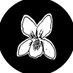 Dogviolet (@dogvioletband) Twitter profile photo Dogviolet (@dogvioletband) Twitter profile photo