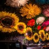 EbruTem12677482's profile picture. 🇹🇷📚
