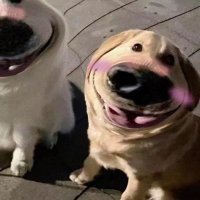 P (@_sdloxvyouz) 's Twitter Profile