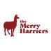 Merry Harriers (@merryhambledon) Twitter profile photo Merry Harriers (@merryhambledon) Twitter profile photo