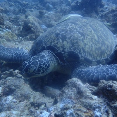 Kei20010318's profile picture. 