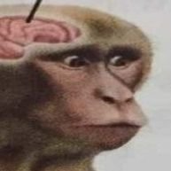 diaco39's profile picture. 