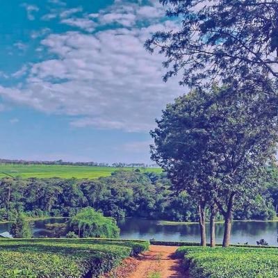 itsmrkkkk's profile picture. Those who feel that it can't be done shouldn't discourage those that feel IT CAN BE DONE.