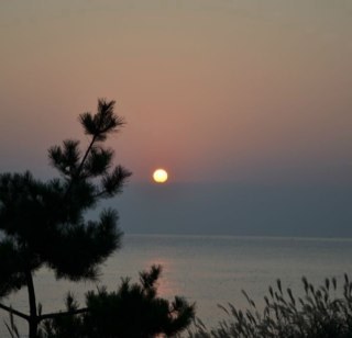 leefemc's profile picture. No Japan! 일본제품 안사요! 일본여행 안가요! (평생보이콧이다!!!)