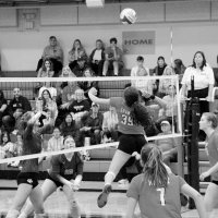 Ava Fitzgerald (@avafitz2025) 's Twitter Profile