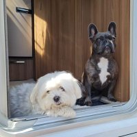 Paul Gardner (@pgards8) 's Twitter Profile Photo