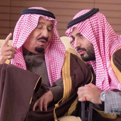 من أرض الحرمين وأسود الوغى والفاتحين  من أرض سلمان موطني 🇸🇦                                    مهتم بأسواق المال ⬆️💵