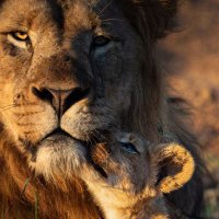 Gabriel (@gabriel02360574) 's Twitter Profile