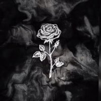Jack Halverson (@lewslave) 's Twitter Profile
