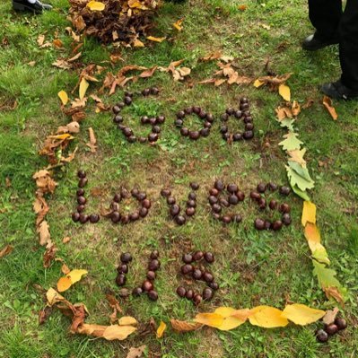 BeckyAllright's profile picture. I’m a pioneer priest with 20 years experience in the NHS and social care I love the church, change and life. I’m also a mum,wife & dog owner/chicken keeper