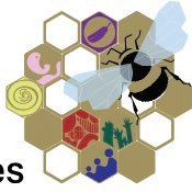 Social Sciences ConneXions (@sscattus_ie) 's Twitter Profile