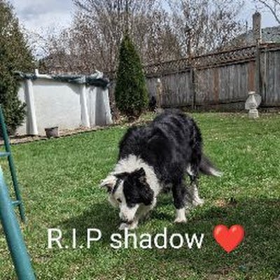 Serenit66875840's profile picture. 