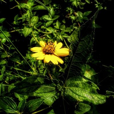 06_chizzy's profile picture. 