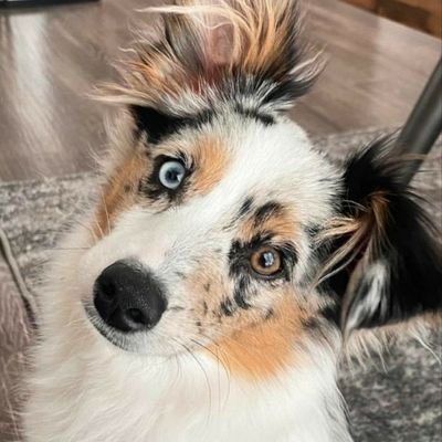 Nyando1Nyandoro's profile picture. Musician 
Actor 
Kenyan
Pride