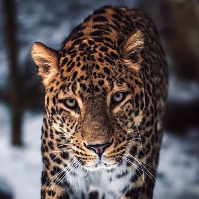 sinsbehind_'s profile picture. Future Oligarch