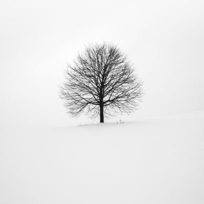 Neo_Spik's profile picture. #Afrika. #Traditional. #Learning to go beyond transcendence