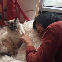 riss (she/her) (@risspeaks) 's Twitter Profile
