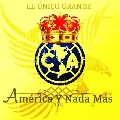 Club América💛|Real Madrid.           Bienvenidos americanistas🦅
              Llevo el escudo en el corazón💙💛
         EL ÚNICO GRANDE DE MÉXICO 🇲🇽