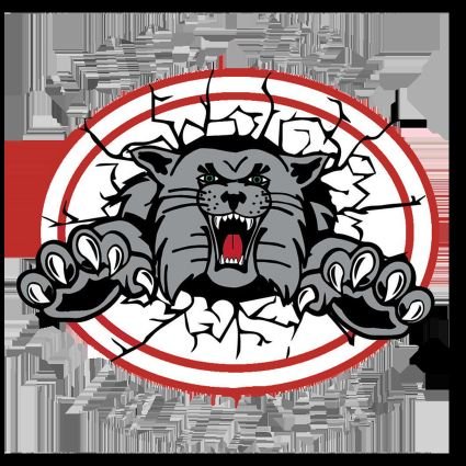 Canton South Wrestling Club is the youth organization for @BIGCATWRESTLING #SCORE100 #WRESTLETOPIA