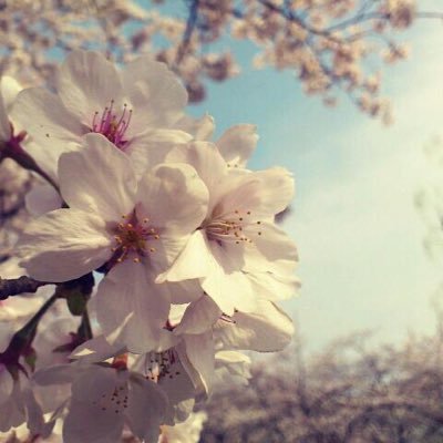 rhys_mint's profile picture. 日々の徒然を。旅、読書、料理、建築が好きですが、ここではドラマの感想よく呟いてます🌿