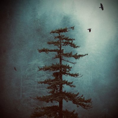 #15.394.761 • Allmählich beginnt man geduldig an zu lächeln • fade to blacK. 🌙