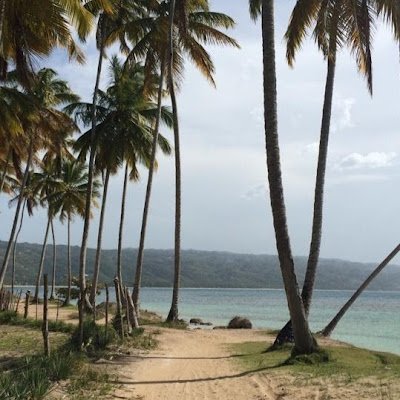 Here to stay updated on the markets. Living in MIA but dreaming of Las Terrenas.