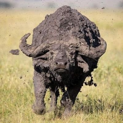 oupasean's profile picture. PROUDLY SA ACTIVIST (Let's buy local)! Public Relations, Business Communication and Intro to Creative writing.