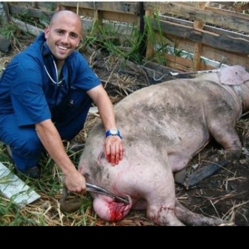 1Cooper1's profile picture. Respect