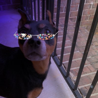 LisaWig35986626's profile picture. 