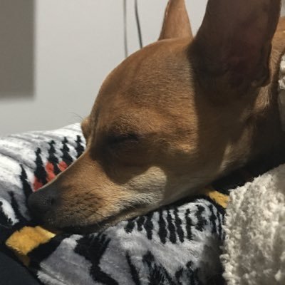 ACaminala's profile picture. 