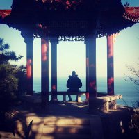 Lao(@OakDragon22) 's Twitter Profile Photo Lao(@OakDragon22) 's Twitter Profile Photo