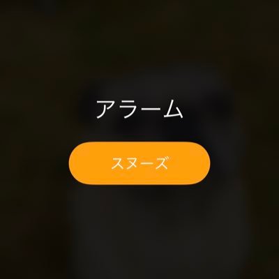 tototo_024's profile picture. 25歳