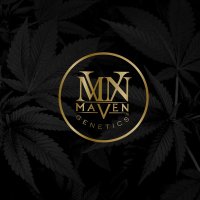 The Maven Store (@themavenstore) 's Twitter Profile