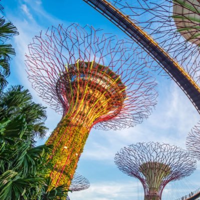 Singaporecovid's profile picture. 🇸🇬 🦠 📊