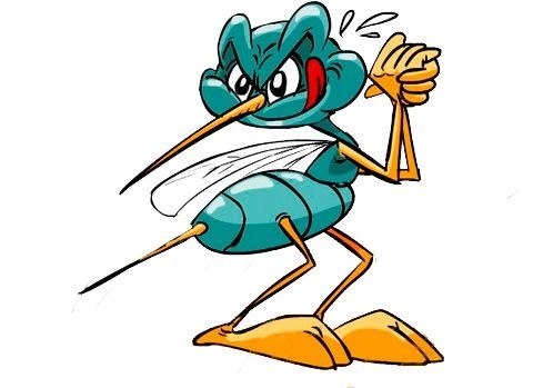 Peter Collins Profile