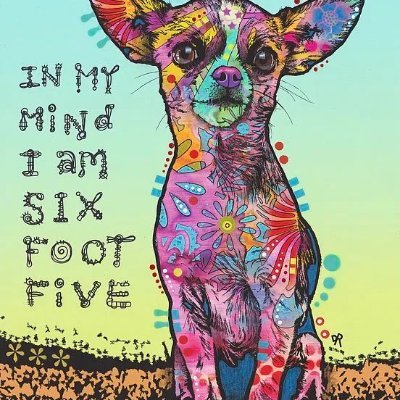 Brianst39248796's profile picture. 