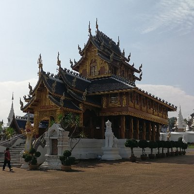 PrayulShine's profile picture. 