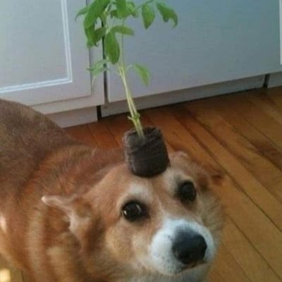 Andres_cgodoy's profile picture. ²³ 🇨🇱💙/
Teísta ✝️/
Ped. Matemática y Física ☄️🧮