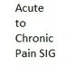 USASP Acute to Chronic Pain SIG (@usasp_acutesig) Twitter profile photo USASP Acute to Chronic Pain SIG (@usasp_acutesig) Twitter profile photo
