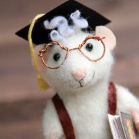 The Scholarly Mouse 🏴󠁧󠁢󠁳󠁣󠁴󠁿👩‍🦼(@ScholarlyMouse) 's Twitter Profile Photo