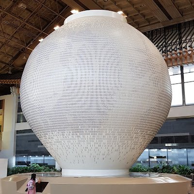 MZ28452081's profile picture. 