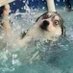 滿臉累水🏊🏻♀️ (@tiamgamaessi) Twitter profile photo 滿臉累水🏊🏻♀️ (@tiamgamaessi) Twitter profile photo
