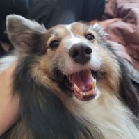 최고리/Gori (@choe_gori) 's Twitter Profile