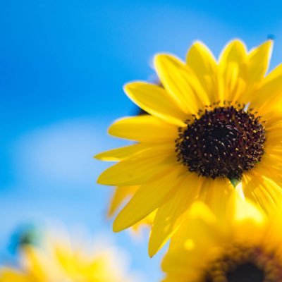 hi0ma2wa0ri4's profile picture. ただエロいだけの人。女風３年生（2021/8〜）女風でのアレコレ。 大事なのは明るいエロと笑い。好奇心だけで生きてる。陰キャのイケメン好き。いつの時も軽率。リプやDMはしたりしなかったり。#東京M性感 推し❤️ ➡️新アカ@hi5ma0wa2ri4