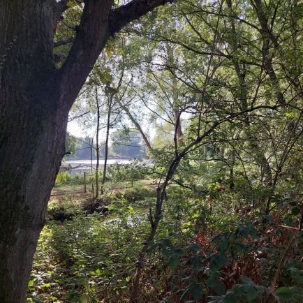 Rebecca73069028's profile picture. 