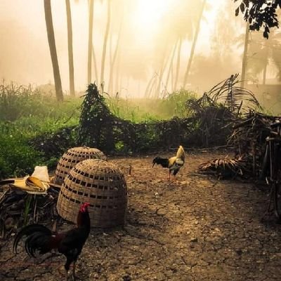 Sudarsh80575099's profile picture. 